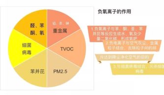 舜明車載空氣凈化器加盟 信息技術(shù)咨詢助您精力充沛創(chuàng)業(yè)